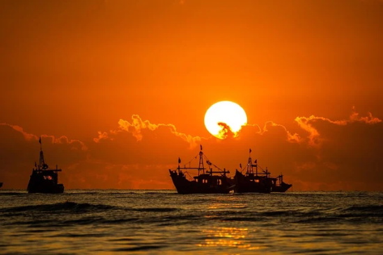 关于les的句子66句