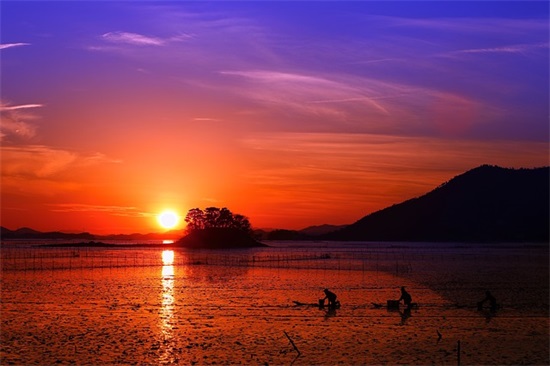 祝福毕业生前程似锦句子(毕业生登记表自我鉴定)