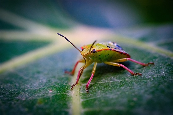 心情低落无奈句子 成年人心情低落无奈句子