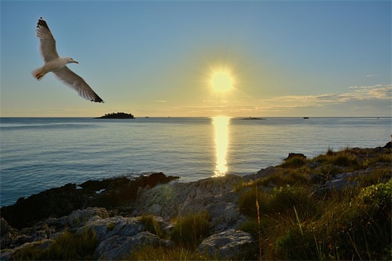 忍不住点赞 一发就会被秒赞的句子励志
