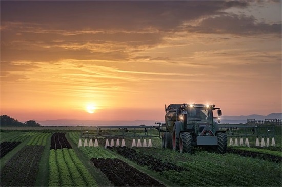 关于防疫情的短句子 疫情最火的句子短句