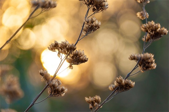 毕业晚会老师寄语-26句