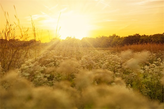与母亲难忘的回忆300字作文(共39篇)