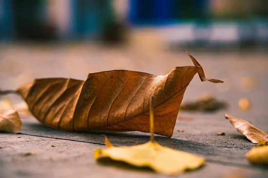 打击小三的经典的句子精选211句