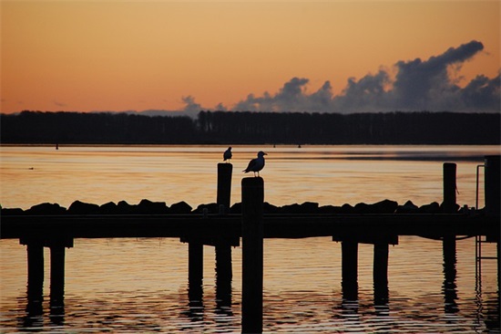 带林字的QQ网名(精选119个)