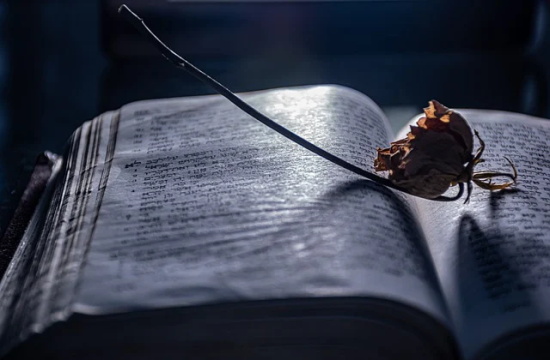 带瑕字有爱意的网名