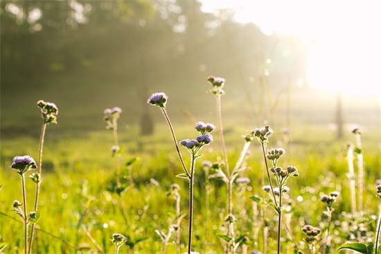 文明单位创建方案范例6篇