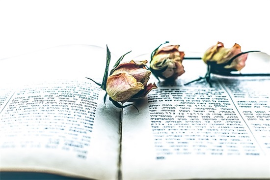 鼓励幼儿园孩子成长的寄语-51句