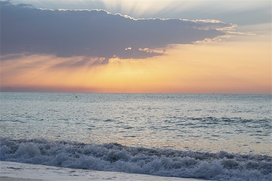 带木的网名两次