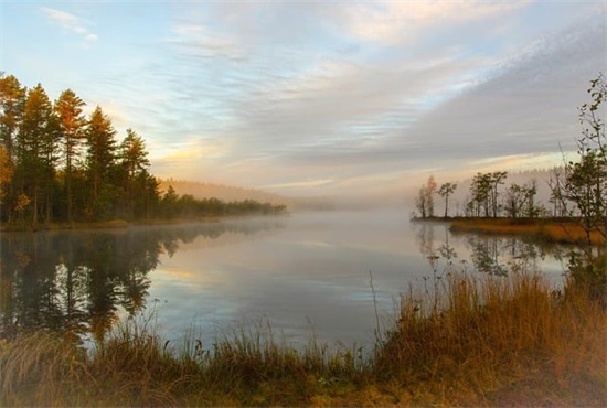 毕业季唯美的句子86句